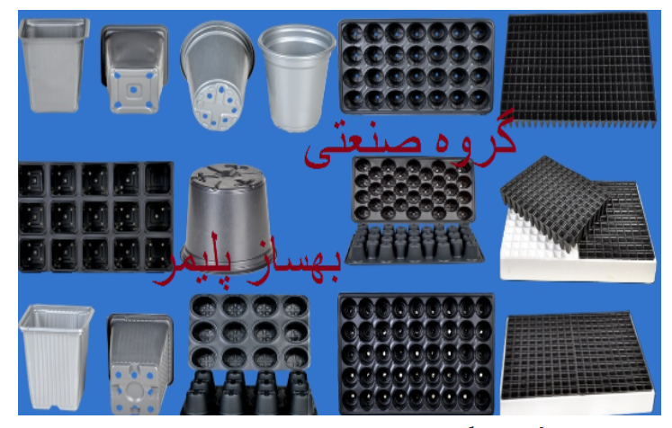 سینی نشا